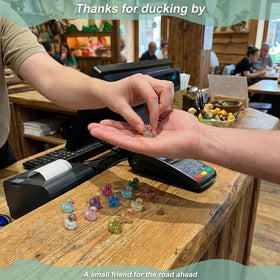 LionWell glittery ducks for DIY decor and micro gardens.