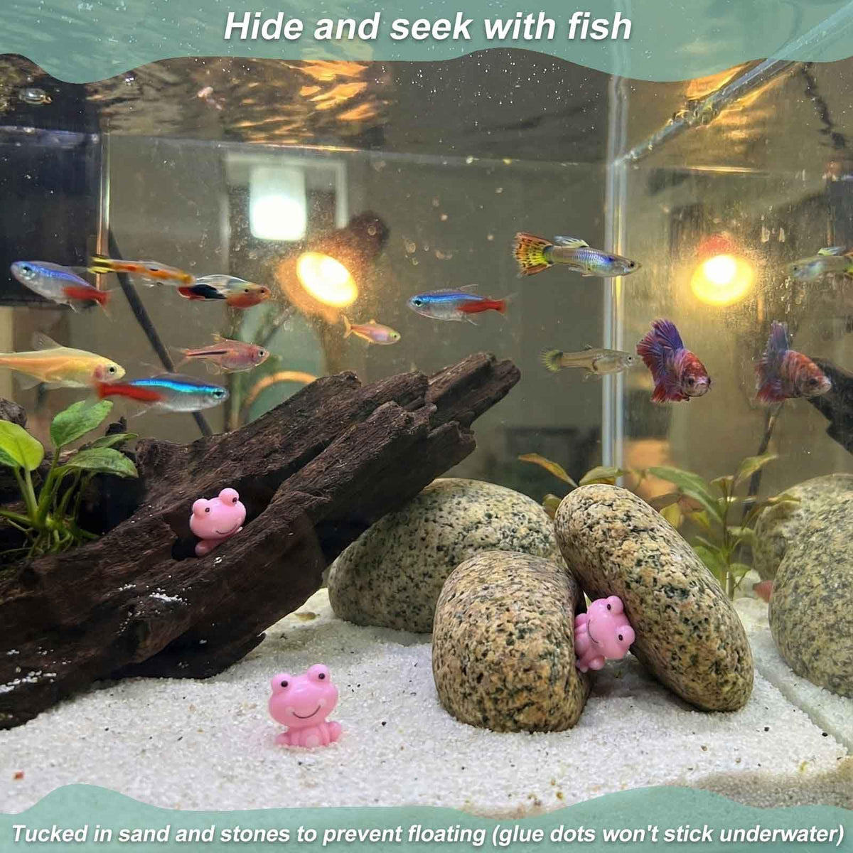 LionWell durable pink frogs made from waterproof ABS plastic.