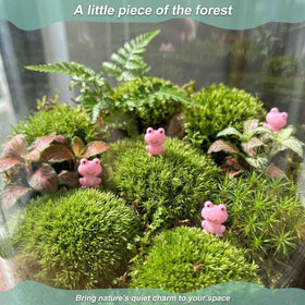 LionWell pink frog display arranged inside a glass container.