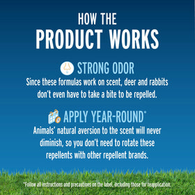 Liquid Fence granules protect ground cover by reducing deer and rabbit browsing.