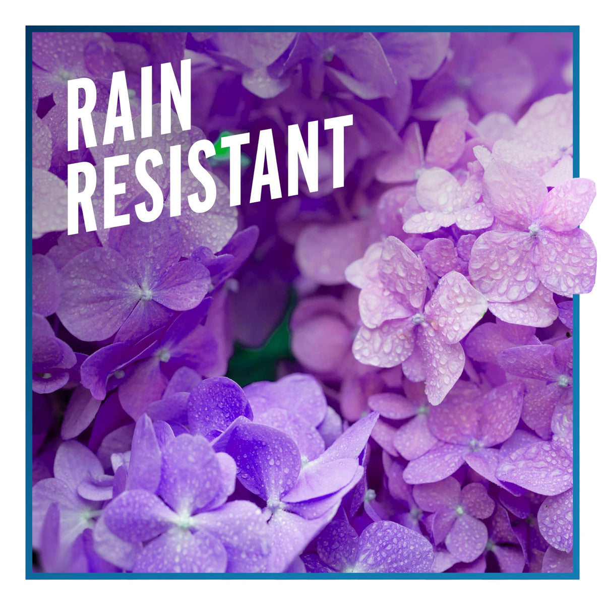 Year-round application with Liquid Fence provides steady deterrence for landscapes.