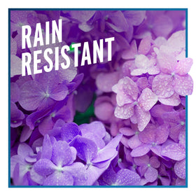 Year-round application with Liquid Fence provides steady deterrence for landscapes.