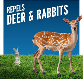Liquid Fence pack of 2 bottles for deer and rabbit protection in beds