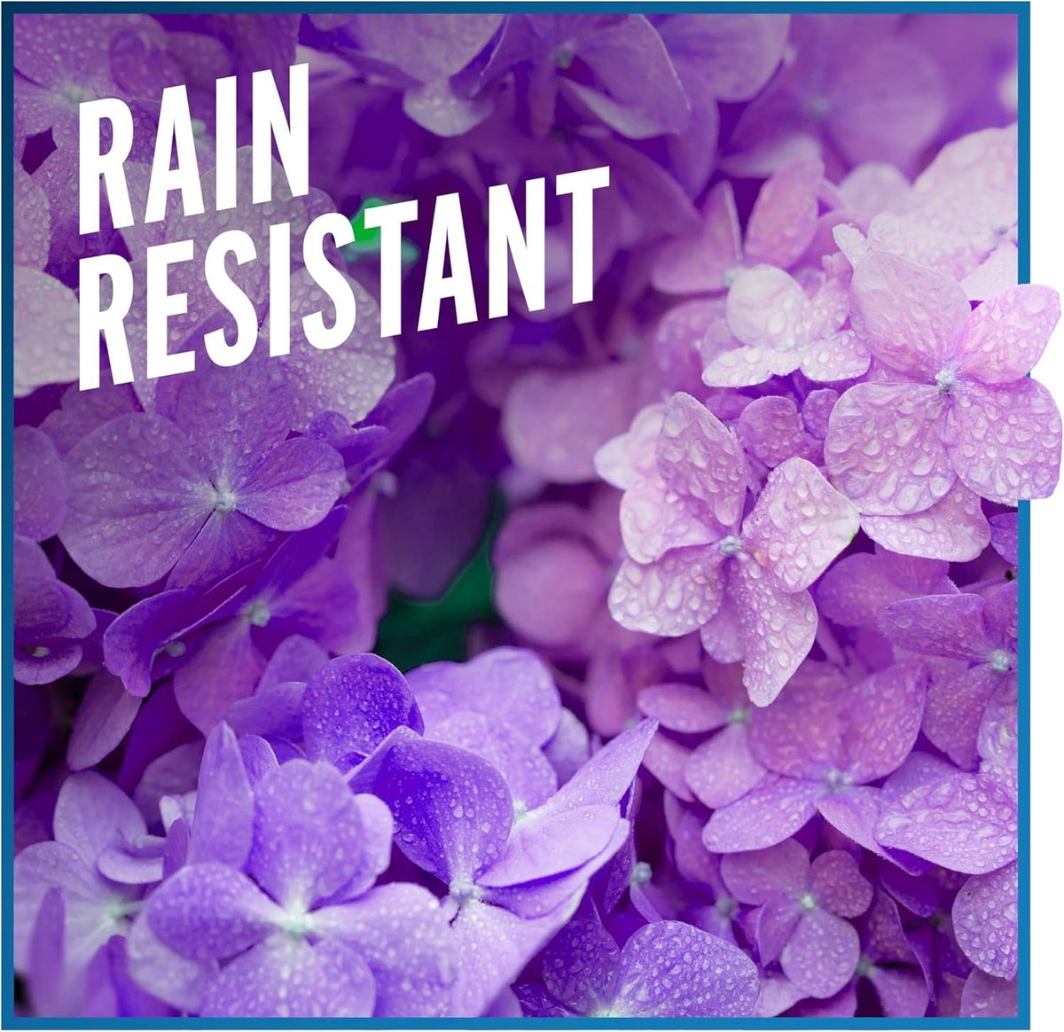 Liquid Fence spray-on application on ornamental plants