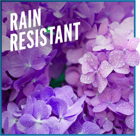 Liquid Fence spray-on application on ornamental plants