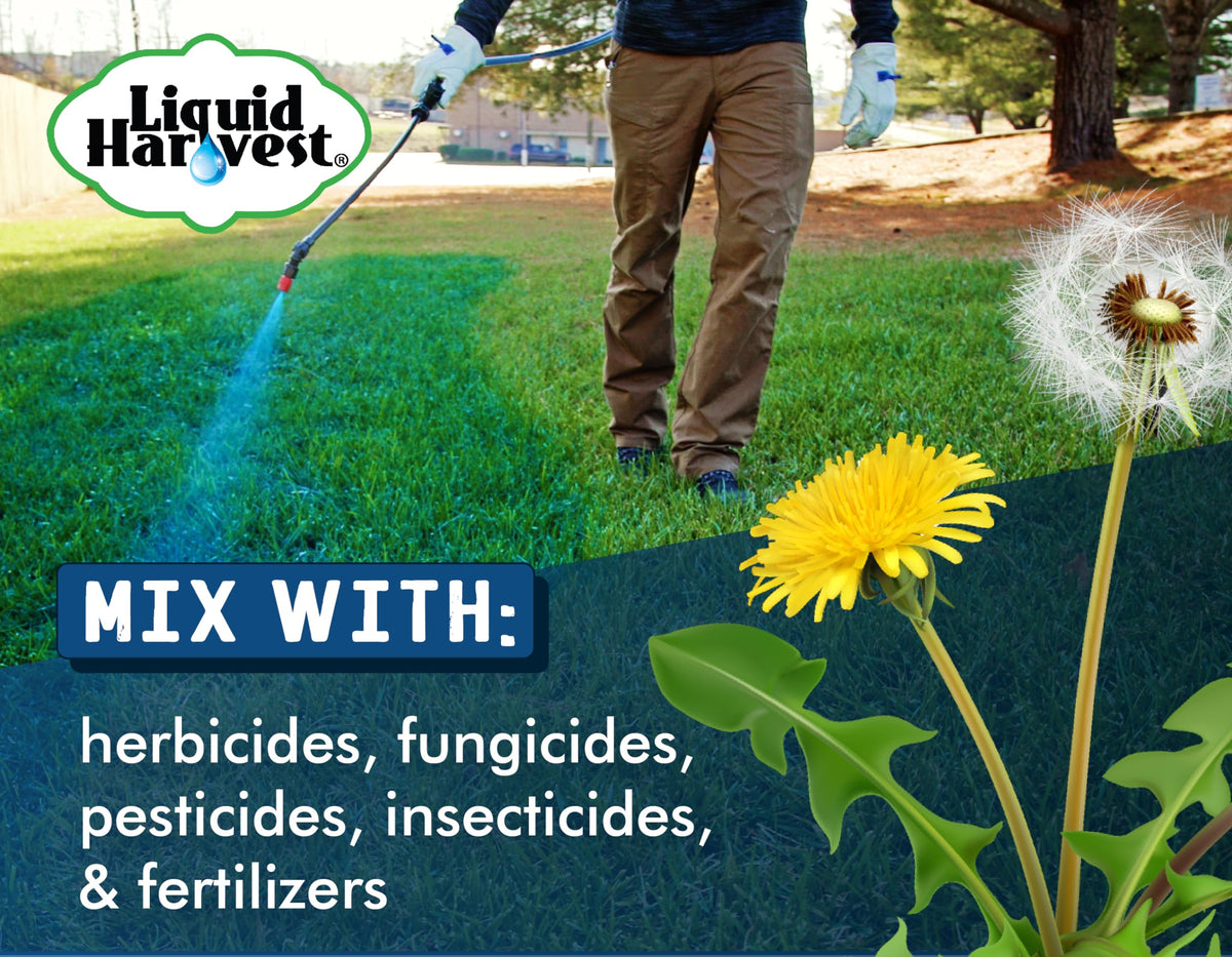 Liquid Harvest Lazer Blue turf-marking-dye-application enhances visibility during lawn treatments.