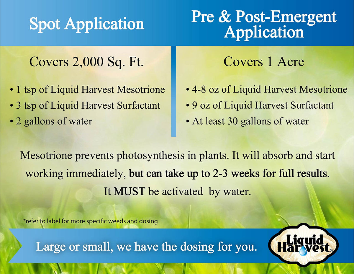 Kentucky Bluegrass ready for application with Liquid Harvest Mesotrione