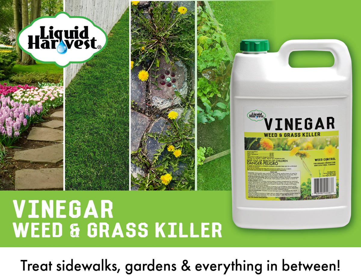 Liquid Harvest Vinegar Weed & Grass Killer applied along a driveway edge