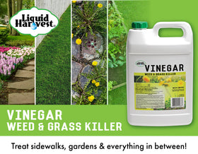 Liquid Harvest Vinegar Weed & Grass Killer applied along a driveway edge