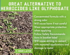 Garden bed edge treated with Liquid Harvest Vinegar Weed & Grass Killer