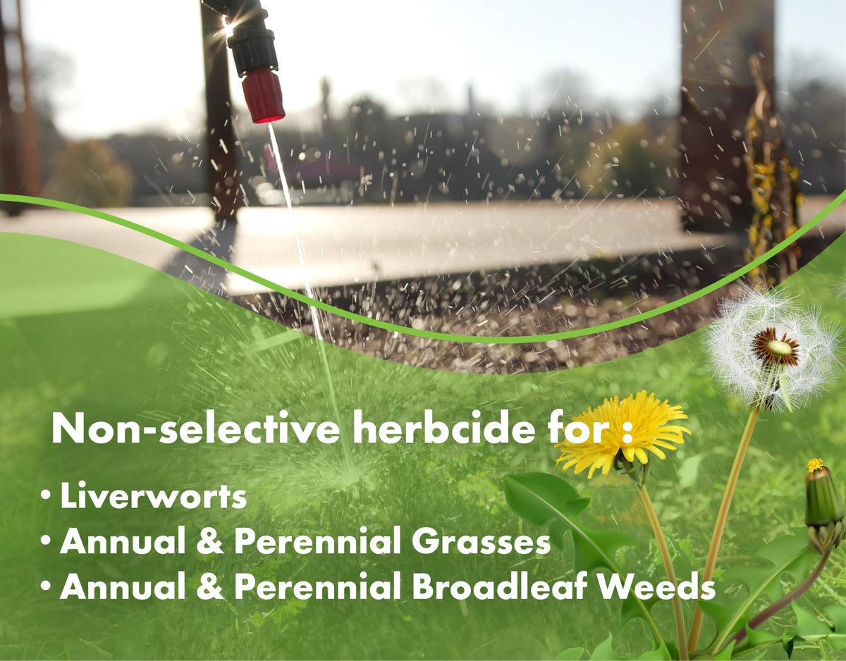 Liquid Harvest Weed Killer used on a sidewalk and patio area