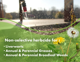 Liquid Harvest Weed Killer used on a sidewalk and patio area