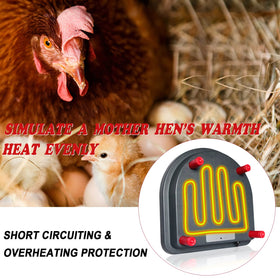 LISINAN comfort-feathers design provides gentle warmth for chicks and ducklings.