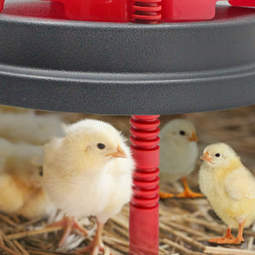 LISINAN heat plate with feathers delivers even warmth.