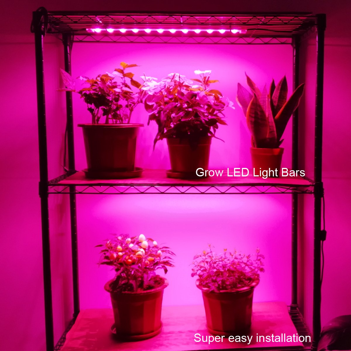 Litever timer included for automatic light cycles and adjustable dimming.