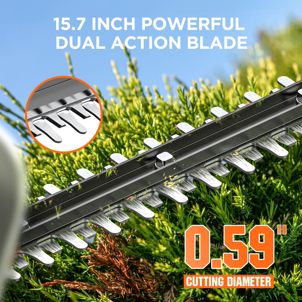 LiTHELi 20V hedge trimmer in use for tidy, efficient yard shaping