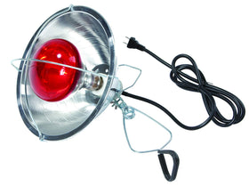 Lamp with 6-foot cord extended for flexible placement