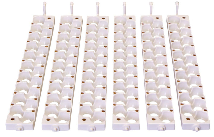 Little Giant Quail Rails with egg cups for high-capacity incubation