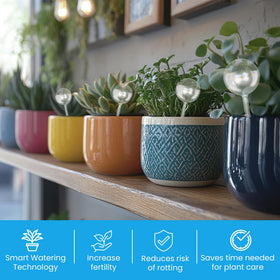 Little Green Leaf colorful glass water globes add style while hydrating plants