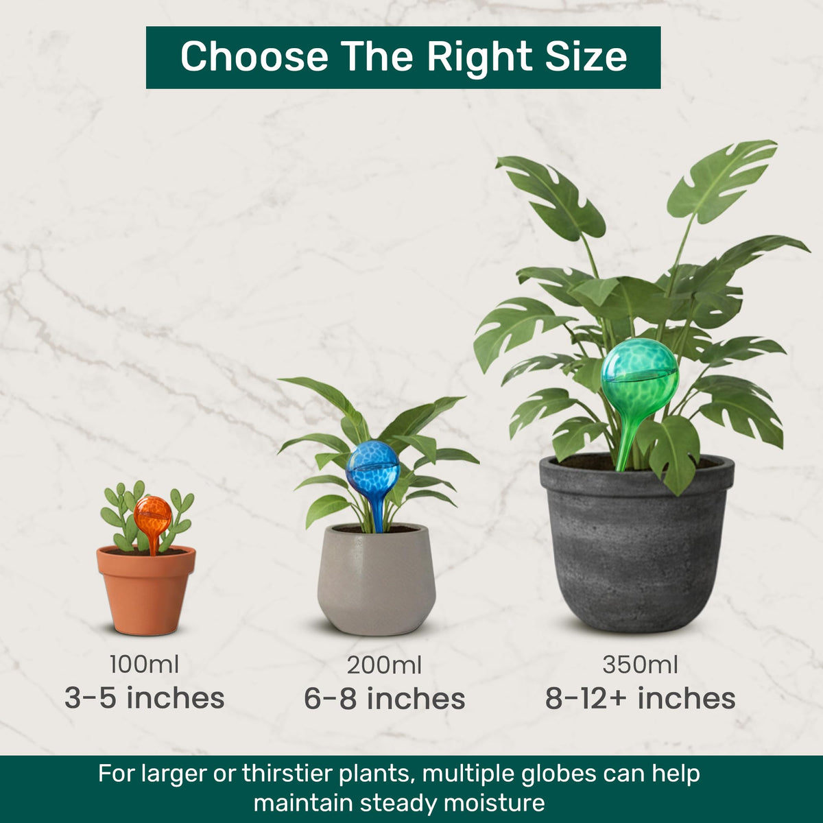 Little Green Leaf packaging is gift-ready for plant lovers.