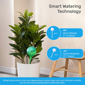 Little Green Leaf multicolor glass globe adds charm while hydrates garden pots.