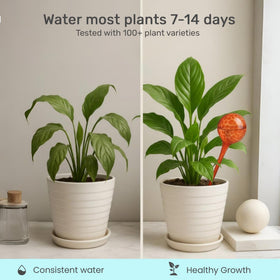 Little Green Leaf self-watering spike fits various pots for consistent moisture.