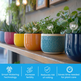 Little Green Leaf helps vacation plant care with steady moisture release.