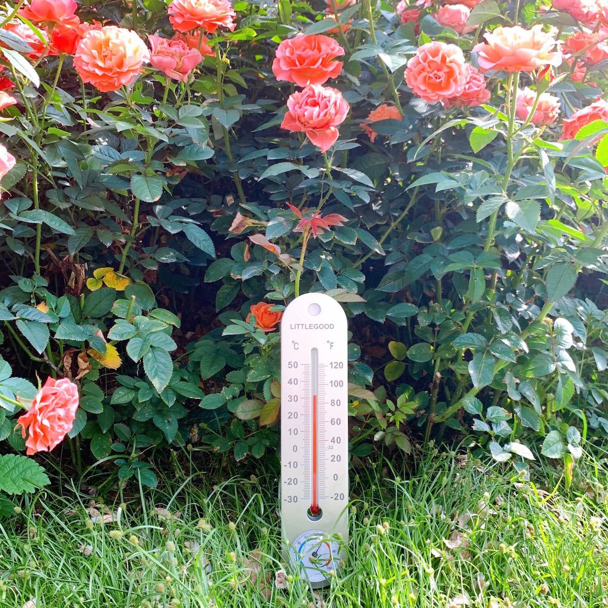 LittleGood device displaying temperature and humidity range for all climates