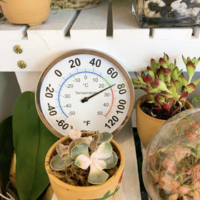 LittleGood Fahrenheit and Celsius scales support quick temperature comparisons