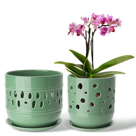 Litudiso ceramic orchid pot with holes enhances air circulation for healthier roots.