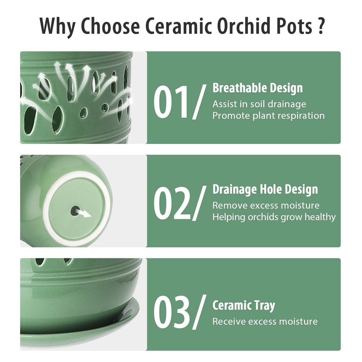 Litudiso ceramic pot featuring airflow design for indoor orchid display.