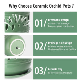 Litudiso ceramic pot featuring airflow design for indoor orchid display.