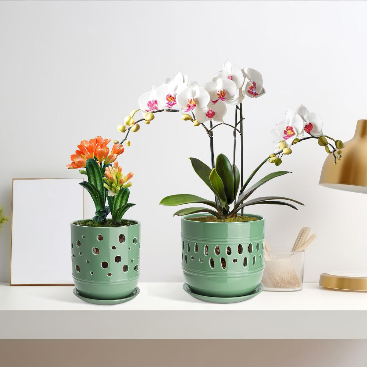 Litudiso 5-inch orchid pot prioritizes drainage for thriving Phalaenopsis.