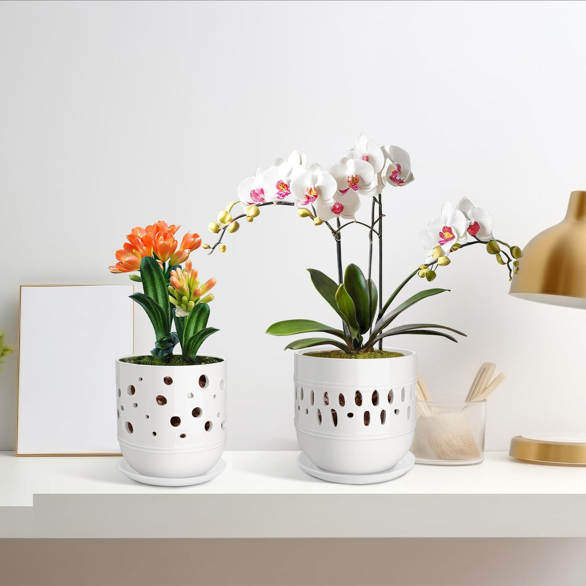 LITUDISO orchid pot decor-sleek-white adds modern elegance to any space.