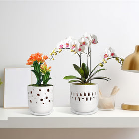 LITUDISO orchid pot decor-sleek-white adds modern elegance to any space.