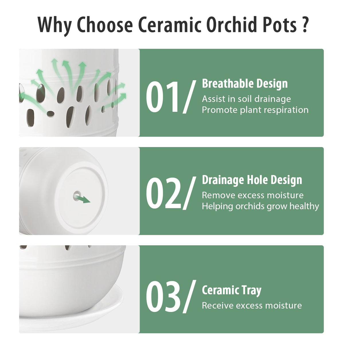 LITUDISO orchid pot suitable for multiple orchid varieties with good drainage.