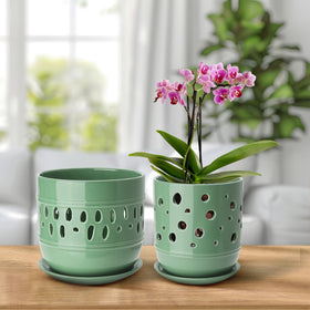 Litudiso two-pack orchid pots in pea green for versatile home setups.