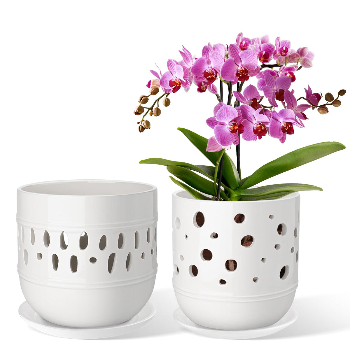 LITUDISO orchid pot hole pattern promotes airflow for healthier roots.