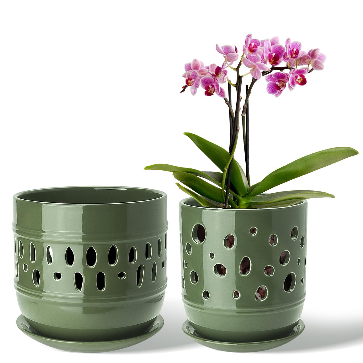 LITUDISO orchid pot with holes for improved airflow and healthier roots.