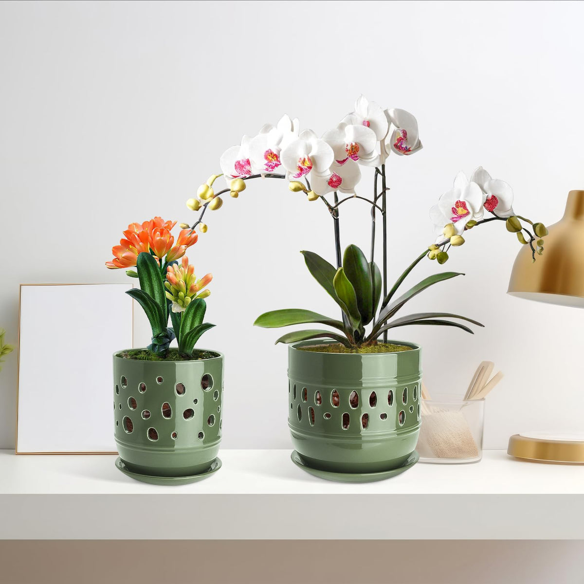 LITUDISO 6-inch ceramic orchid pot in forest green for elegant decor.