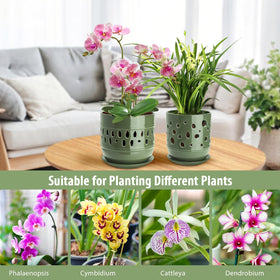 LITUDISO 2-pack orchid pots with holes for versatile planting setups.