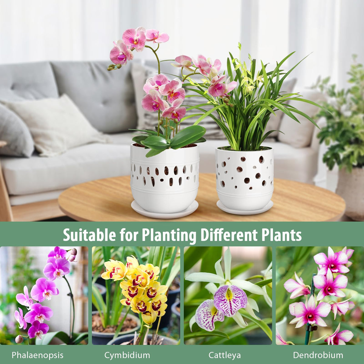 LITUDISO orchid pot smooth-finish for easy cleaning and care.