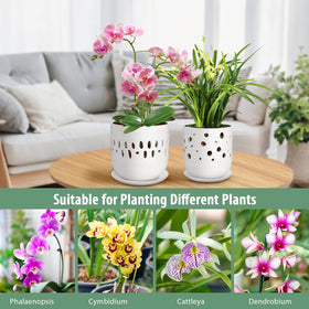 LITUDISO orchid pot smooth-finish for easy cleaning and care.