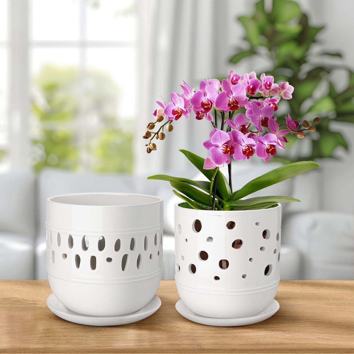 LITUDISO orchid pot two-pack provides convenient matching planters.