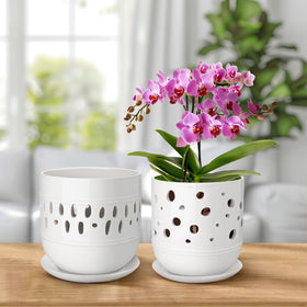 LITUDISO orchid pot two-pack provides convenient matching planters.