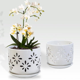 Litudiso orchid pots with holes gift-ready packaging for plant lovers