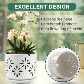 Litudiso orchid pots with holes white drainage-focused design preventing root rot