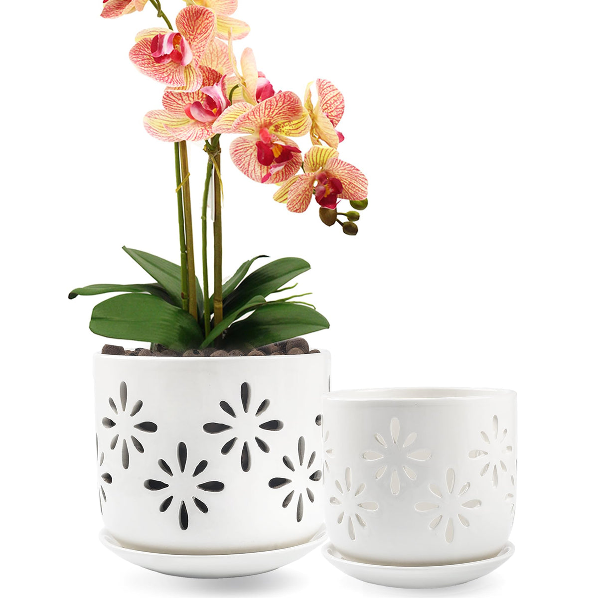 Litudiso orchid pots with holes white side view promoting airflow for healthier roots