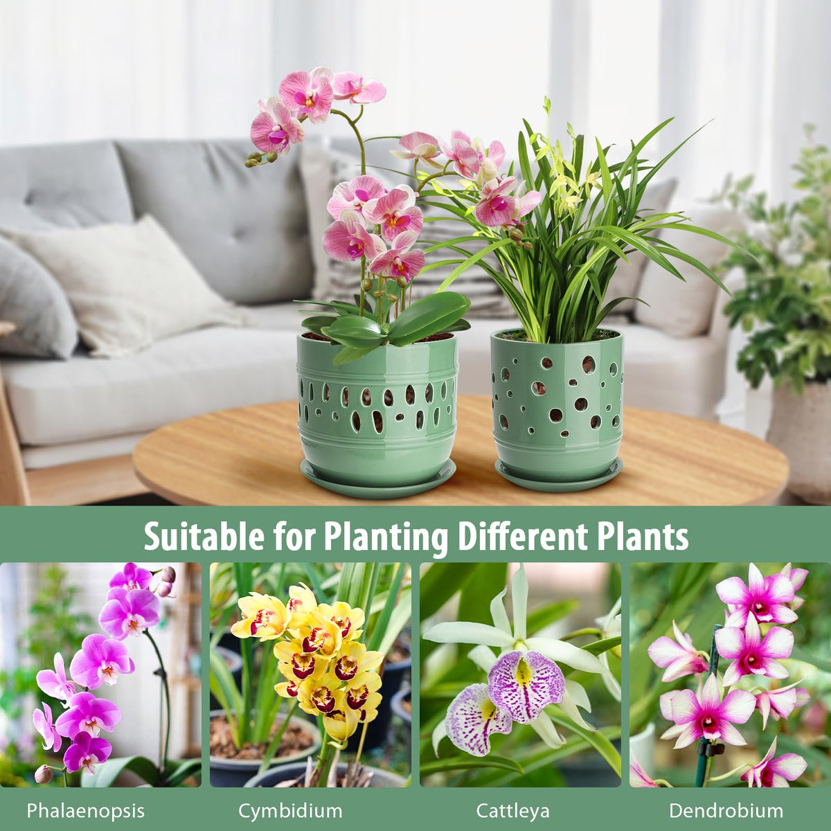 Litudiso orchid pot with smooth finish for easy cleaning.