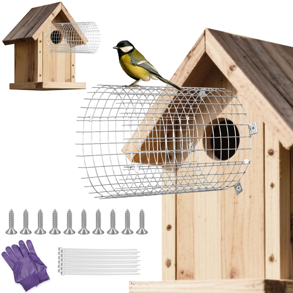 LiuLiXia bluebird guard assembly protecting nesting area from predators.